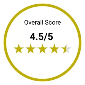 Youth Leadership Review Badge overall score 4.5 out of 5